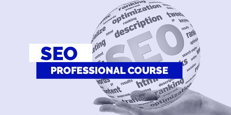 SEO Professional