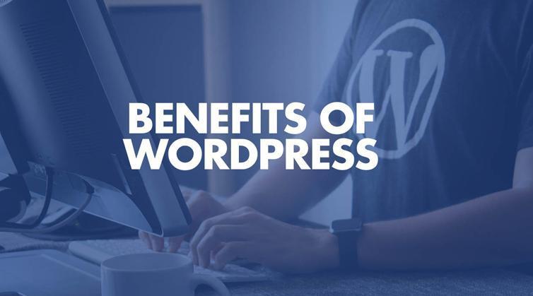 WordPress development